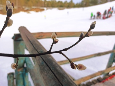 Гора Глубокая - 19.jpg